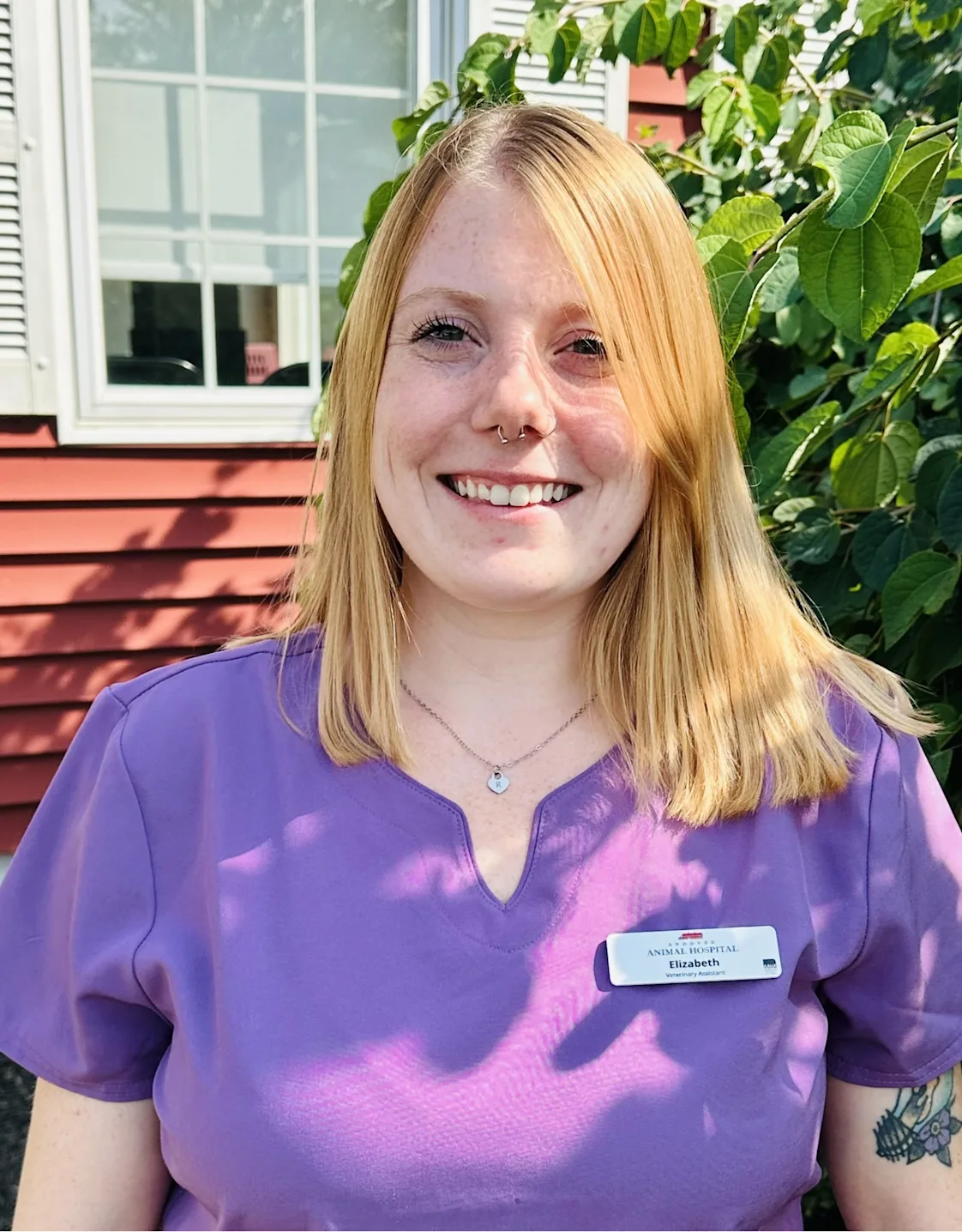 Elizabeth Andover Animal Hospital Elizabeth andover animal hospital